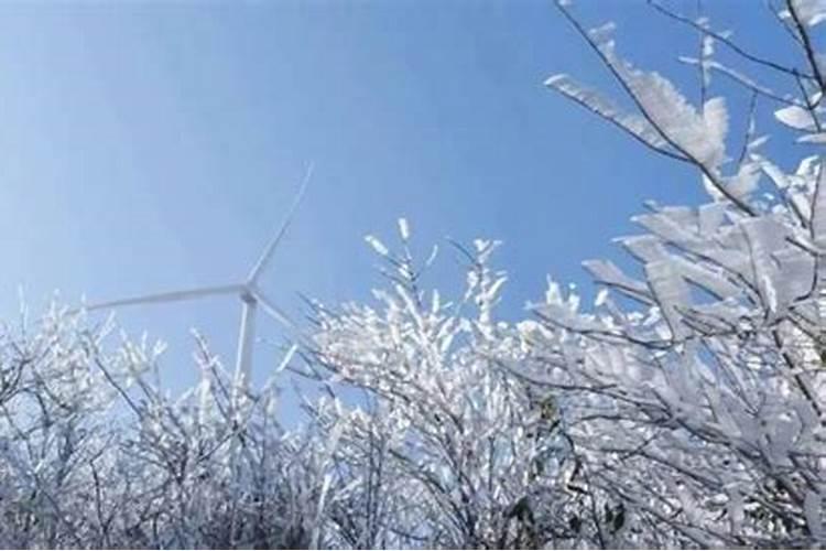 客家民居的哪些特点显示了传统文化魅力？保留那些民俗文化让我感受到中华...
