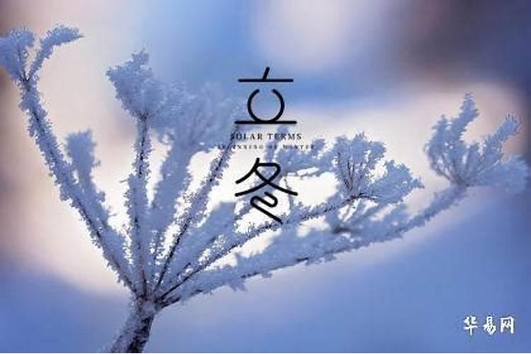 马跟鼠相冲吗