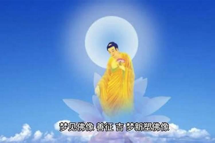 属兔生在几月最命苦87年出生是孤寡命吗