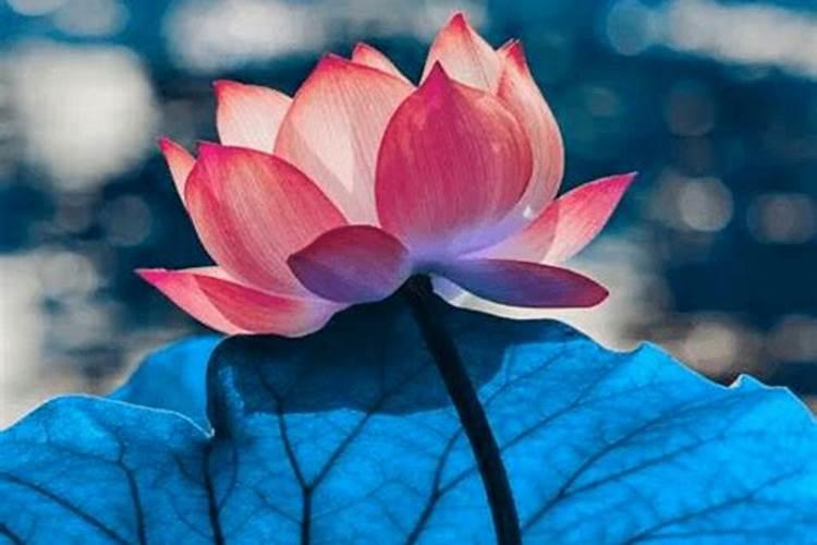 运气不好时默念玄天上帝可以吗