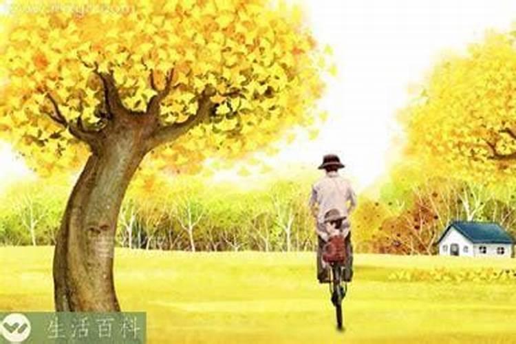 梦见健在的父母死去