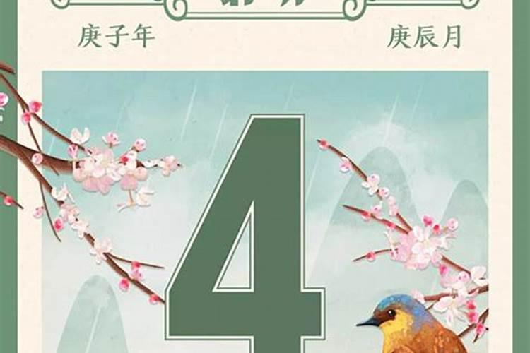 狗马属相合不合