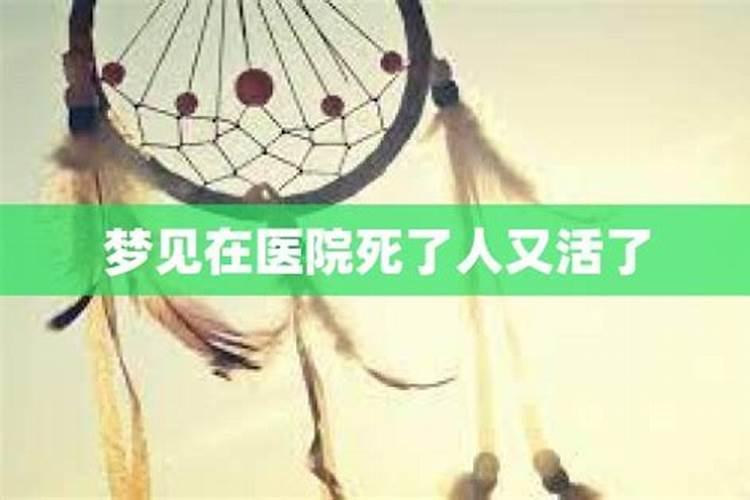 农历9月出生的属猴人运势如何