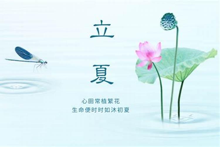 2025腊月初八日子怎么样