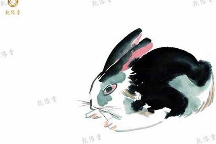 2025年各生肖运势