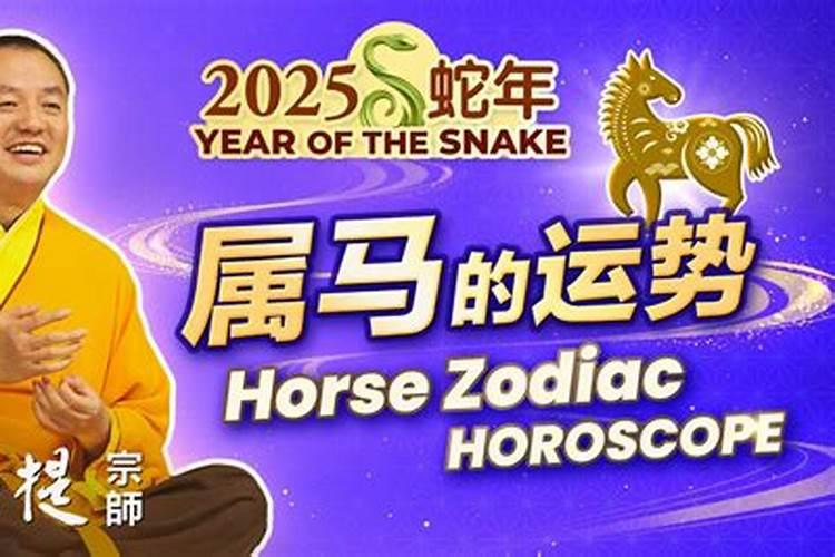 属马养什么植物最旺学业
