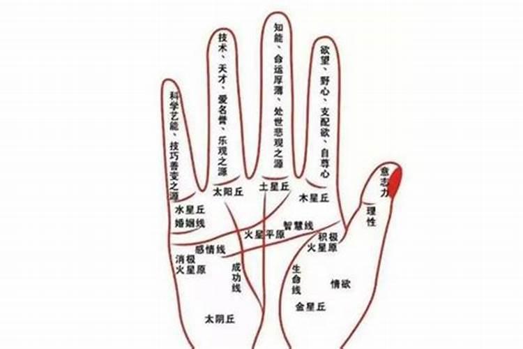 算命生辰八字和看手相真的准吗？