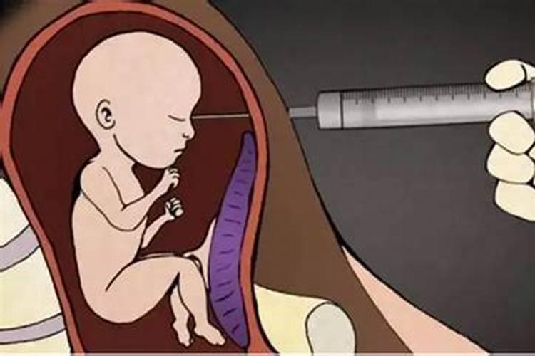 生肖羊1991年2025年运势如何 生肖羊1991年2025年全年运势