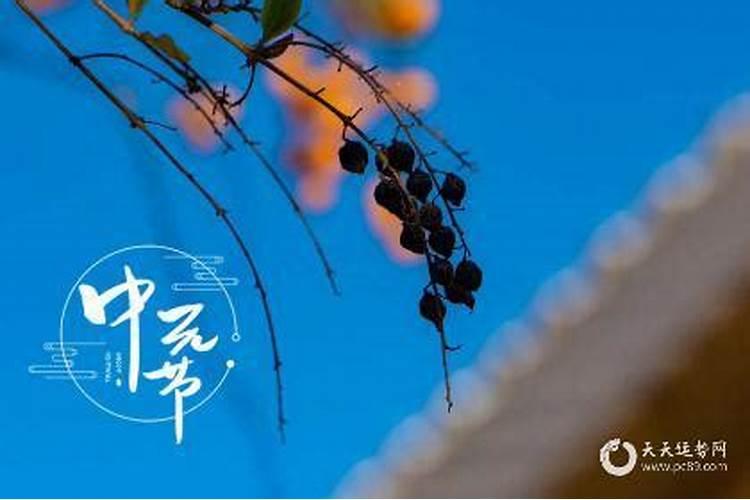 2025年属虎人的全年运势