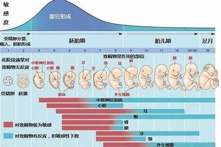 秦时明月中少司命那首歌。曲是穿越时空的思念。求歌词。