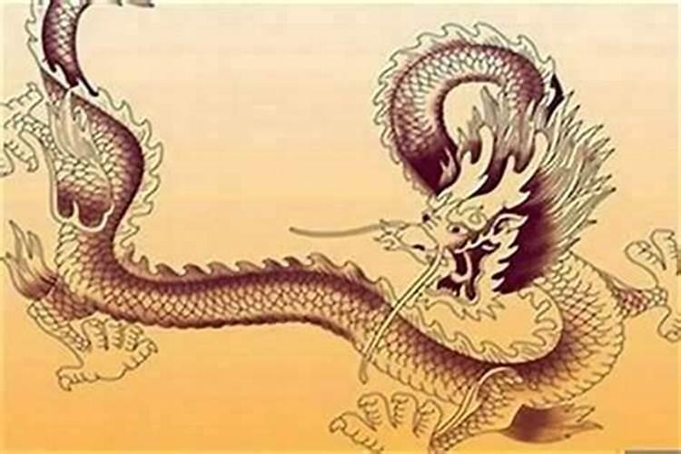 属龙住几楼最旺呢？
