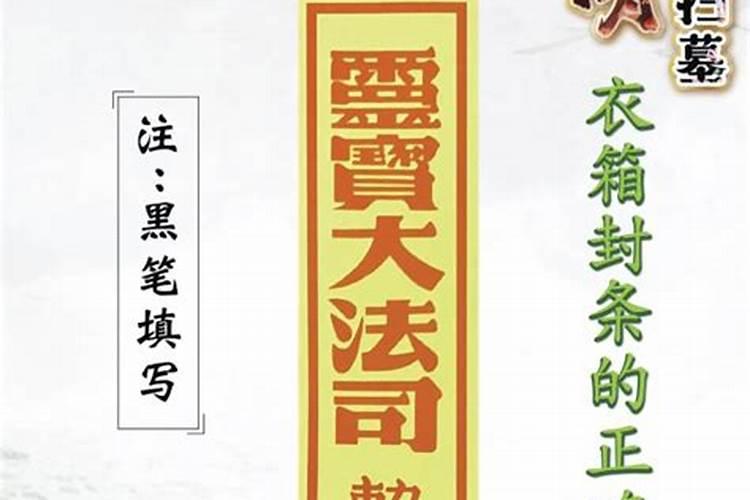求以《整理》为题的作文