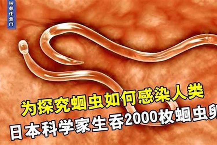 梦见蛔虫有什么预兆