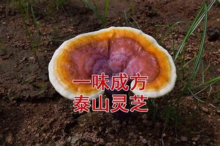 参加葬礼的禁忌
