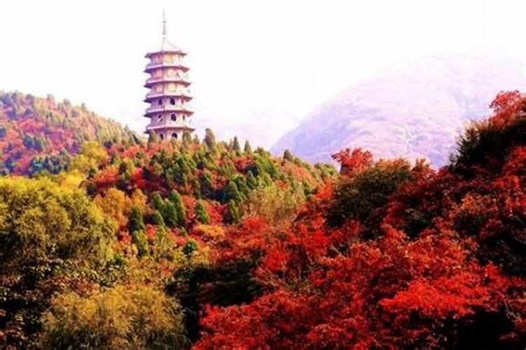 夫妻最不合的属相合八字怎么合？