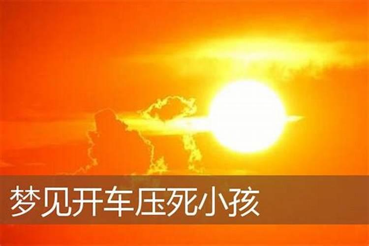 梦见别人开车压死很多人预示着什么意思