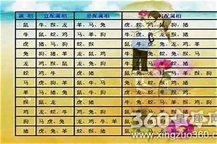 十二生肖婚姻配对哪几种最好