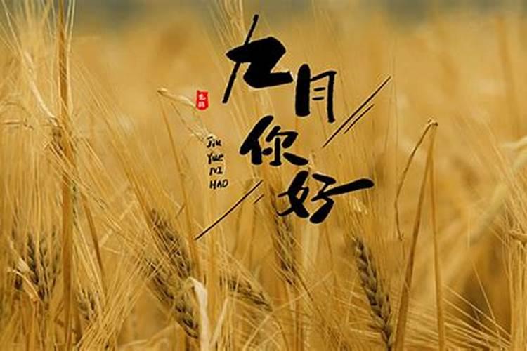 什么叫化解太岁