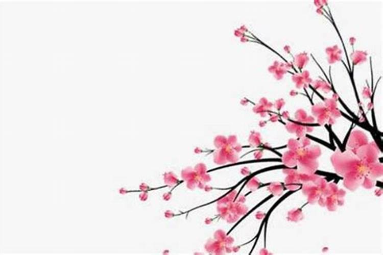 1九九四年七月初四午时生男运程