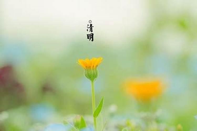 清明节为什么是按阳历计算 清明节是按阴历算