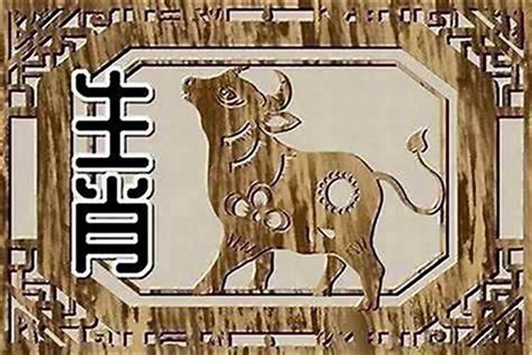 属狗和属牛的婚配好不好属狗和属牛的合适吗