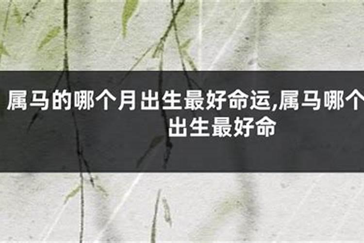 属马的几月出生最好 运势