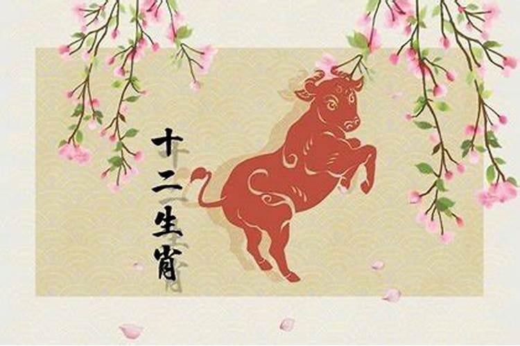 生肖牛和羊相冲吗
