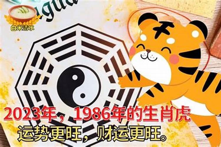 1976年正月十二下午三点出生,生辰八字怎么样