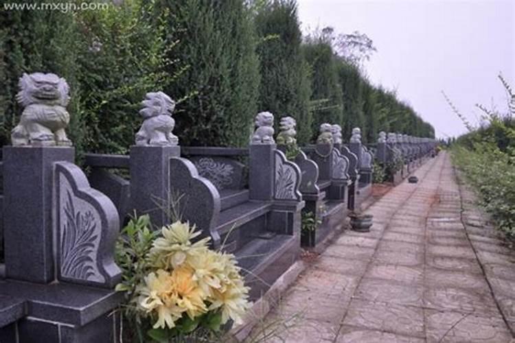 2025属蛇本命年佩戴什么好呢