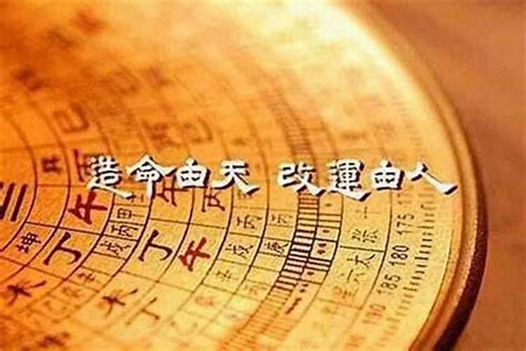 94年属狗男2025年运势