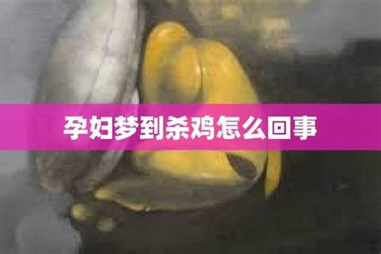 孕妇梦见鸡