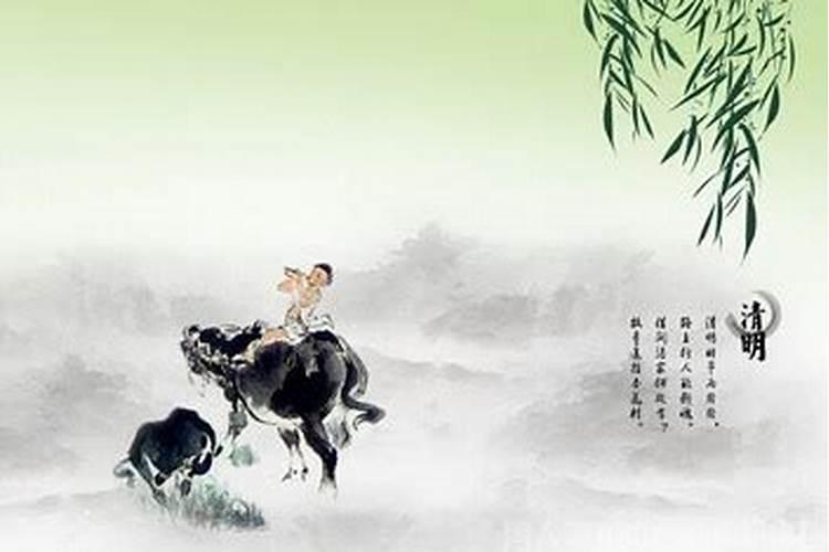属鼠的几月出生最不好 几月最命苦