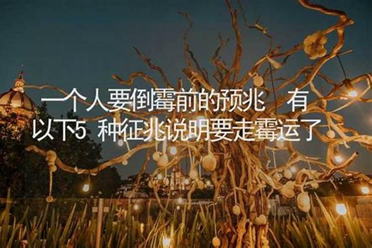 女怕十五是几月十五