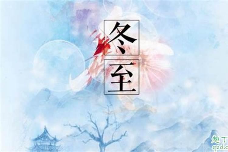属兔遇哪年好运属兔遇哪年倒霉