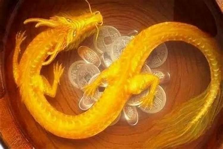 男属龙最忌婚配什么属相