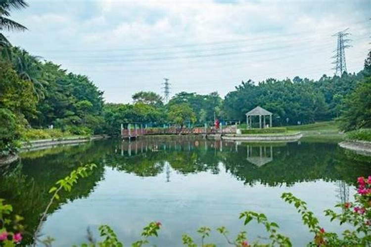 深圳清明节去哪里玩比较好