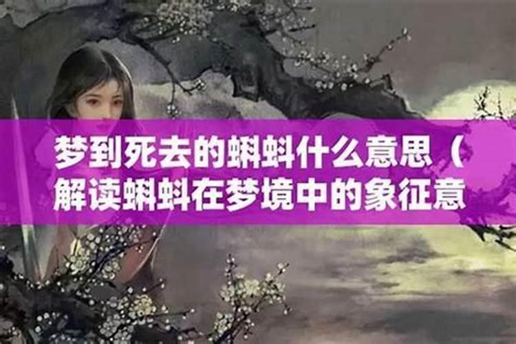梦见蛀虫