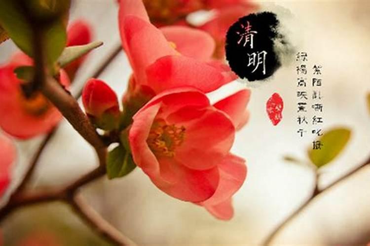 高铁打庄多深,一般农田。沙土地。