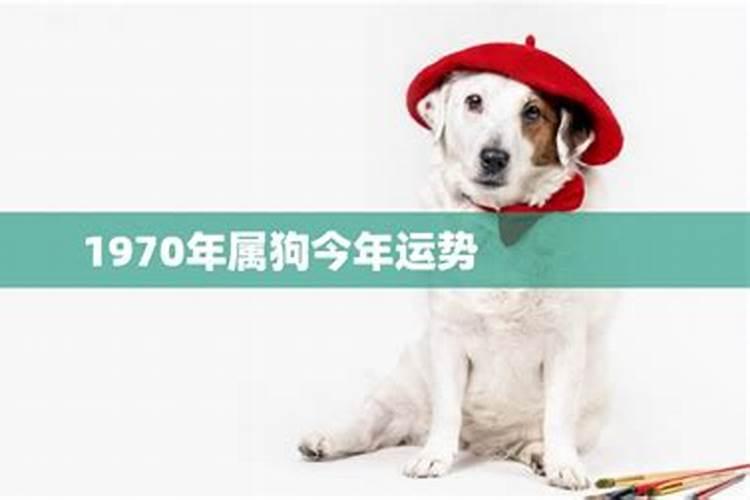 1970年属狗一生运程