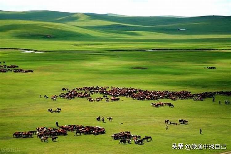 端午节内蒙古去哪里旅游最合适,呼和浩特清明周边旅游