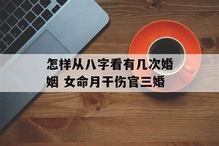 77年的蛇是什么命