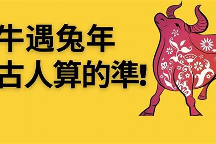 属牛的兔年运势如何？