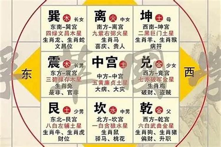 属蛇和属羊的合得来吗