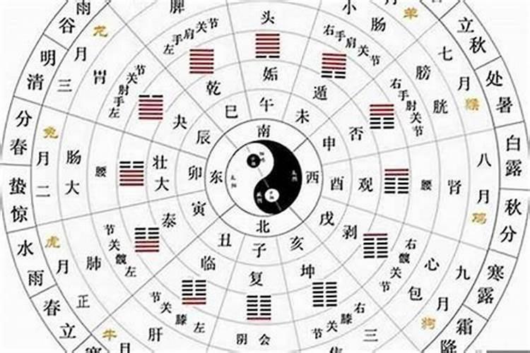 1992年属什么属相？