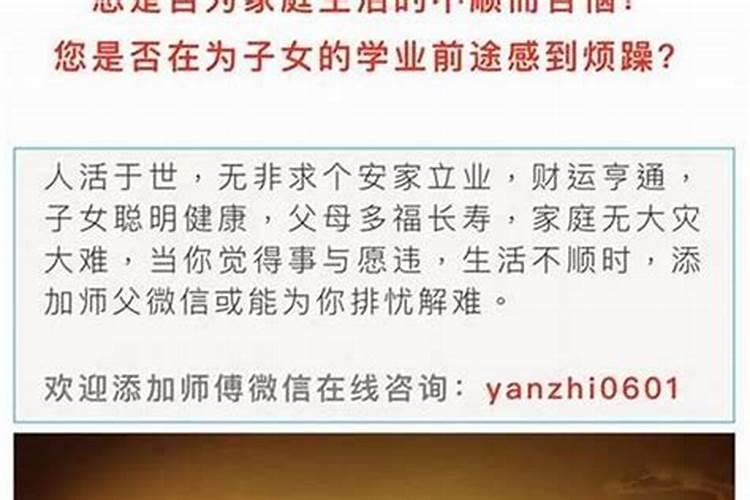 龙抬头小说周晴死是那一章