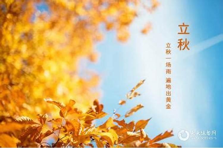 立秋的祝福