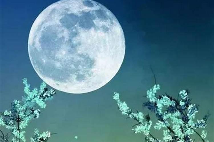 清明节出生有什么讲究