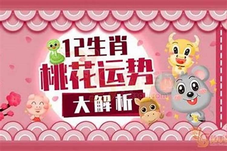 属虎女的情人是谁