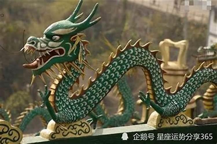 属龙相冲的三个属相