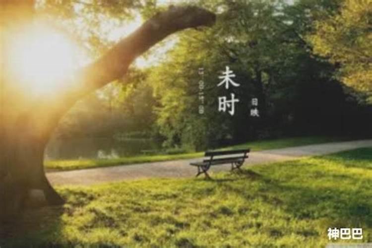 2014阳历12月14日14点22分出生的男孩运势